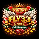 Fly33 Game Logo