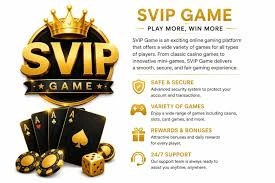 SVIP Game
