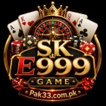 SK E999 Game