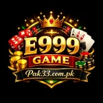 E999 Game